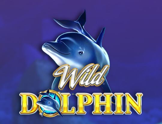 Wild Dolphin